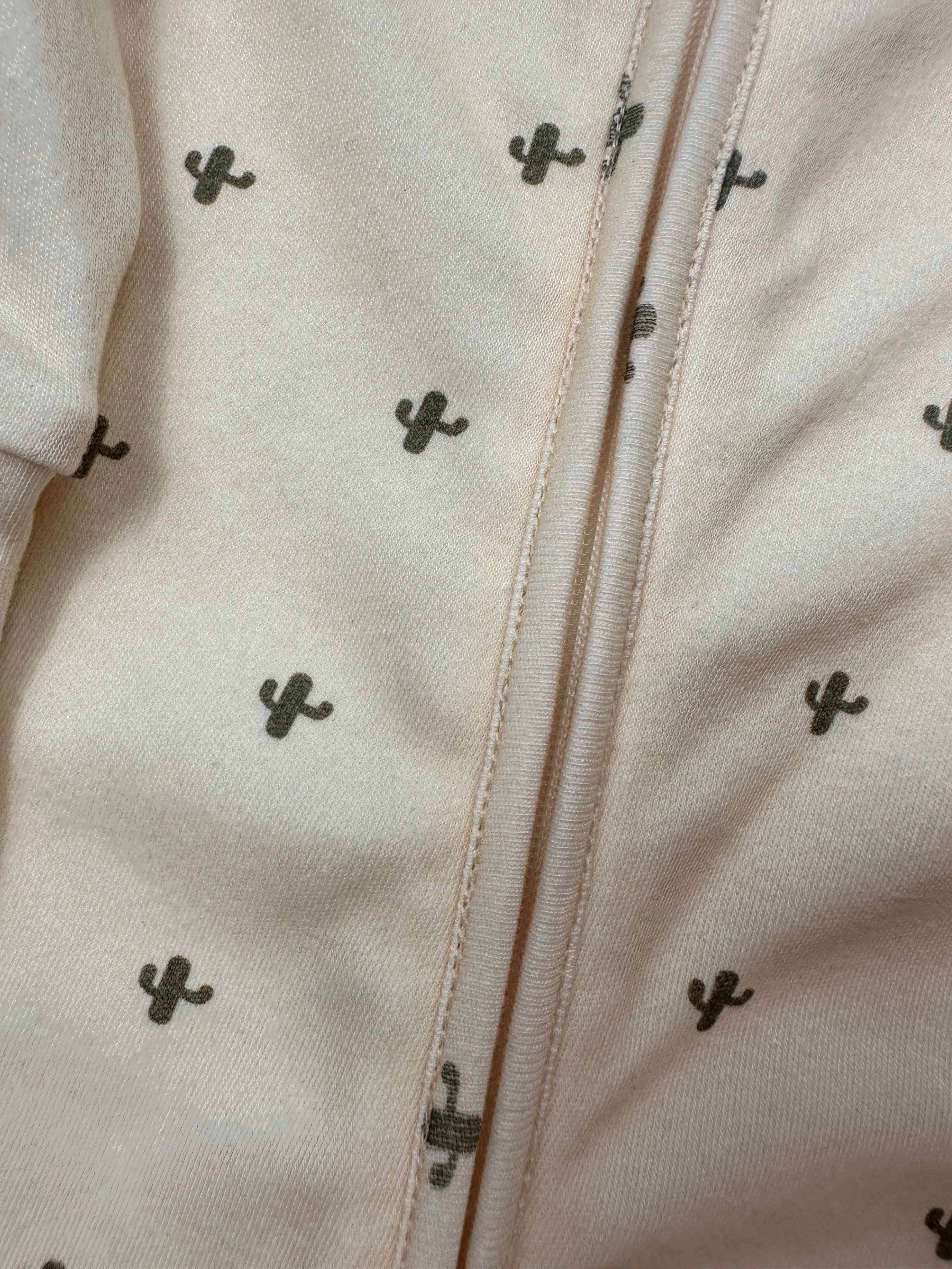 First Year Onesie Bundle - Cactus Onesie