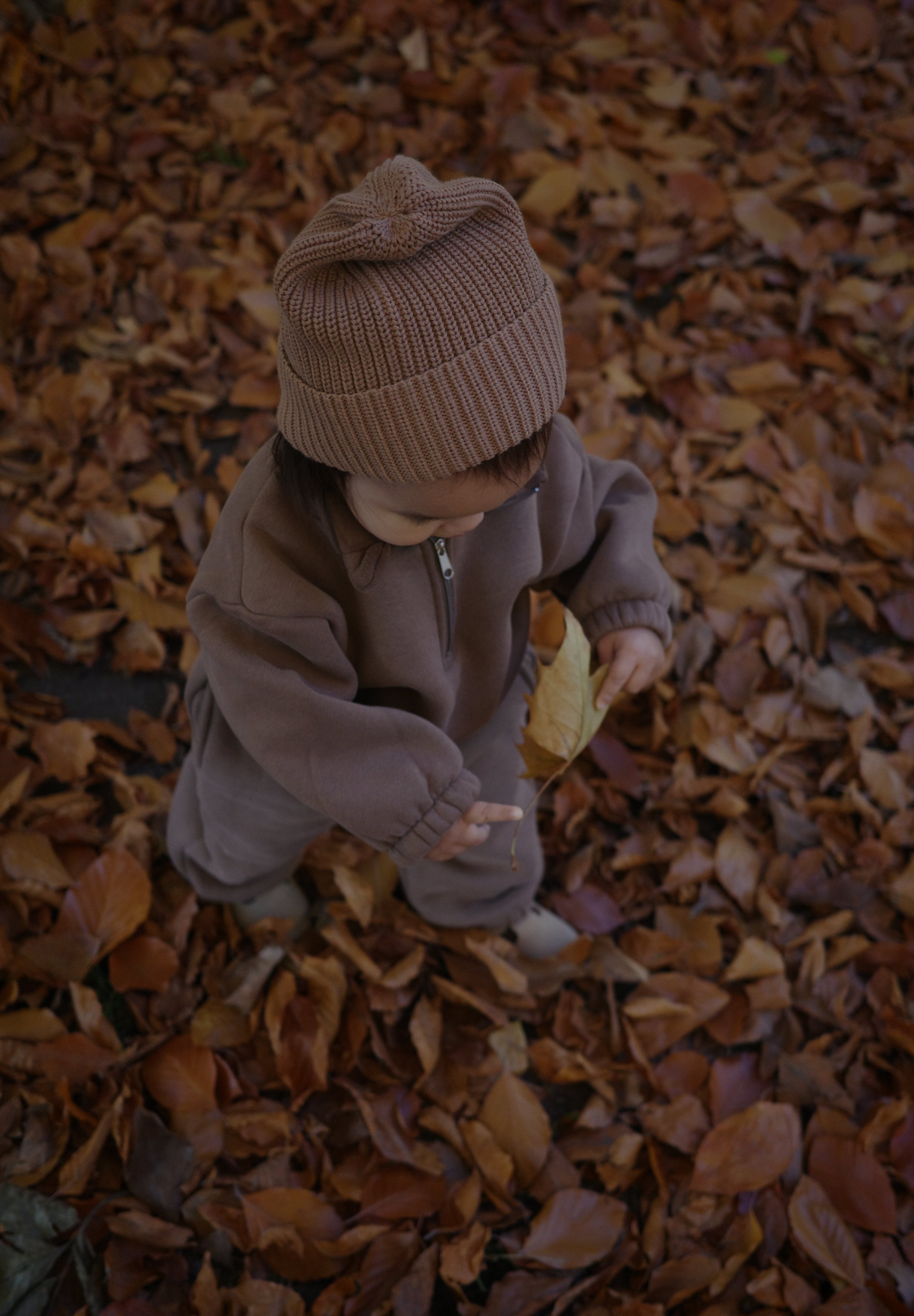 Fleece Tracksuit - Oatfield