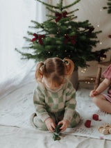 The Check Set - Sage