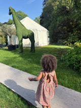The Picnic Dress