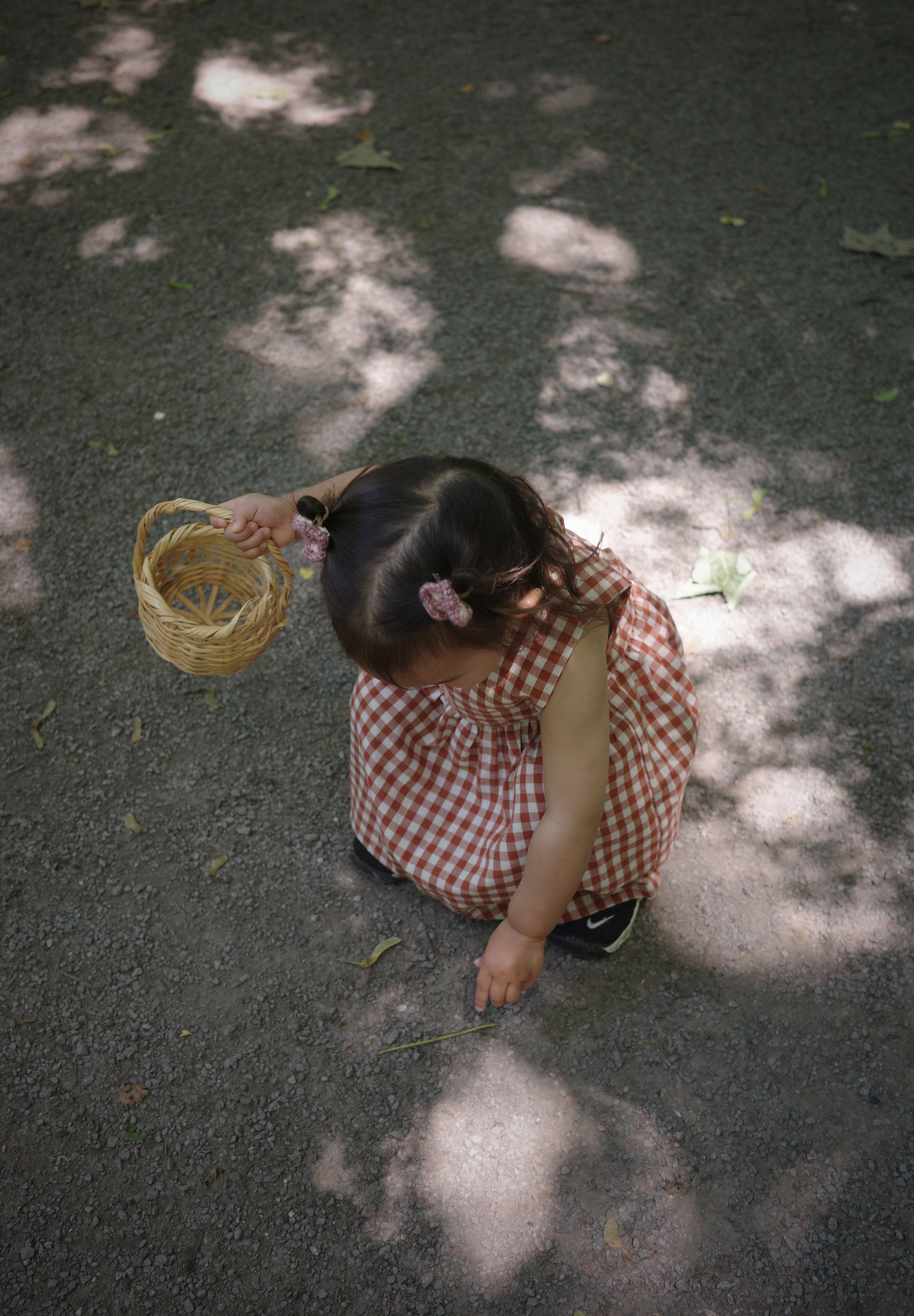 The Picnic Dress