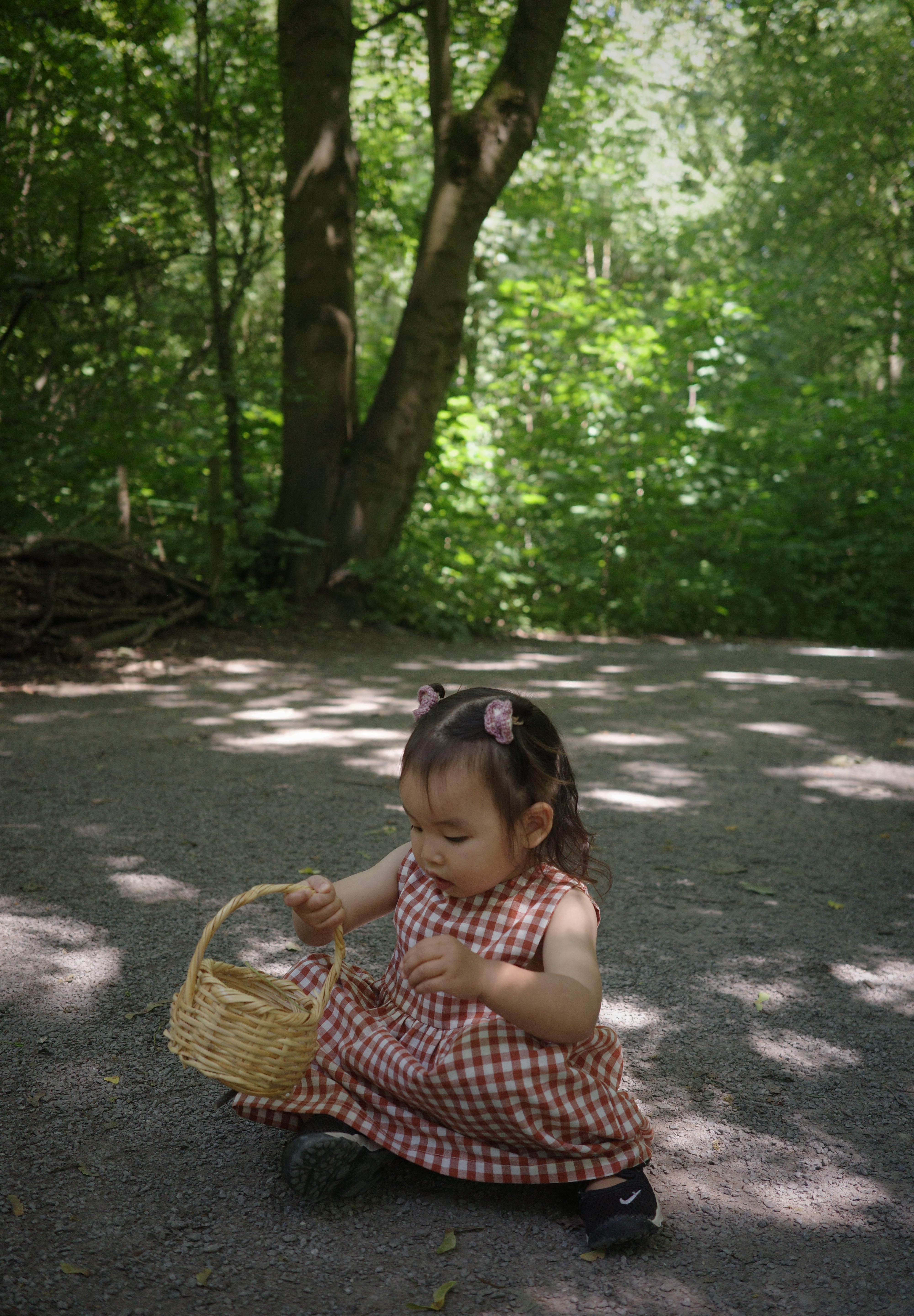 The Picnic Dress